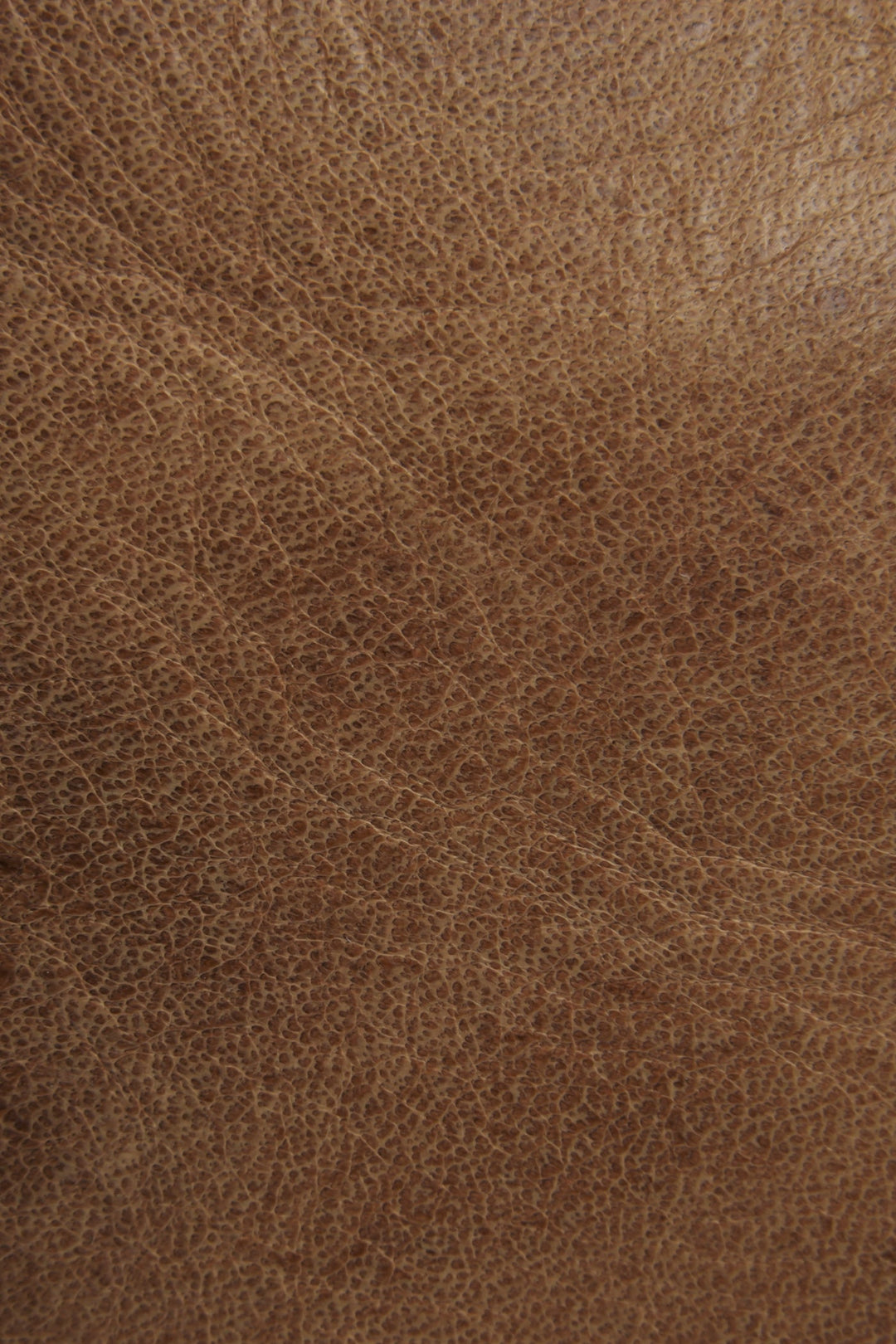 Frye Featured - Melissa Beige Tote