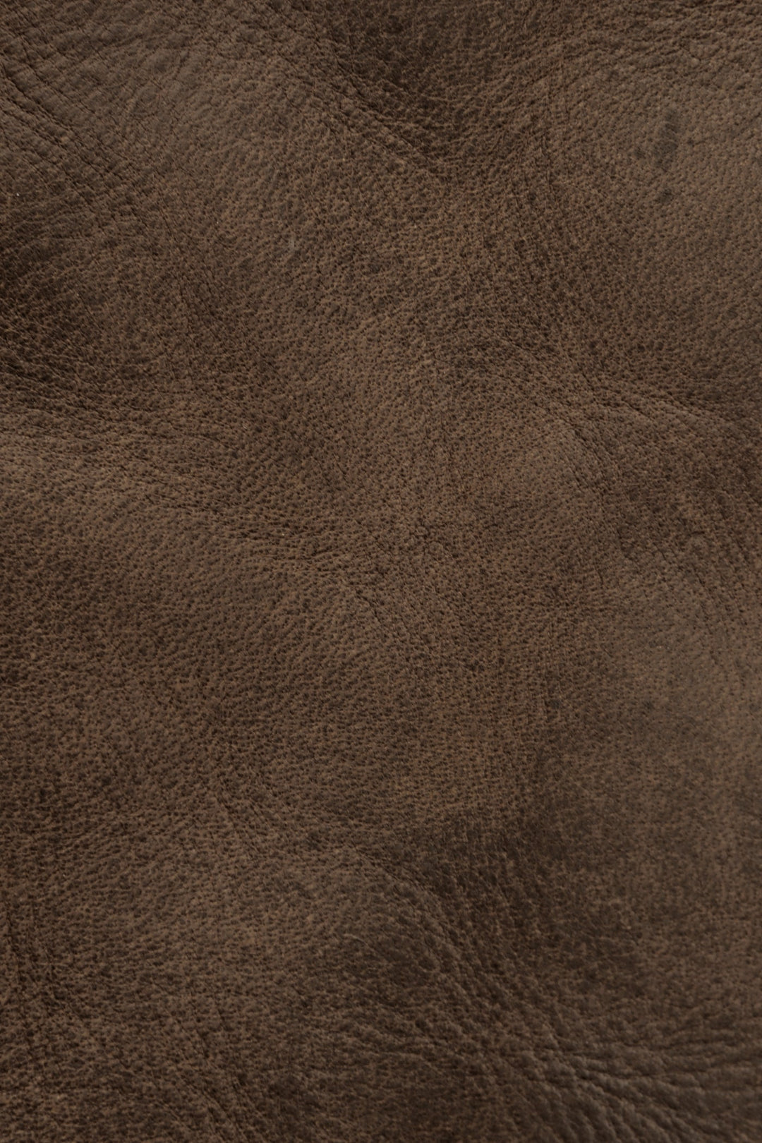 Frye Exclusive - Melissa Dark Brown Tote