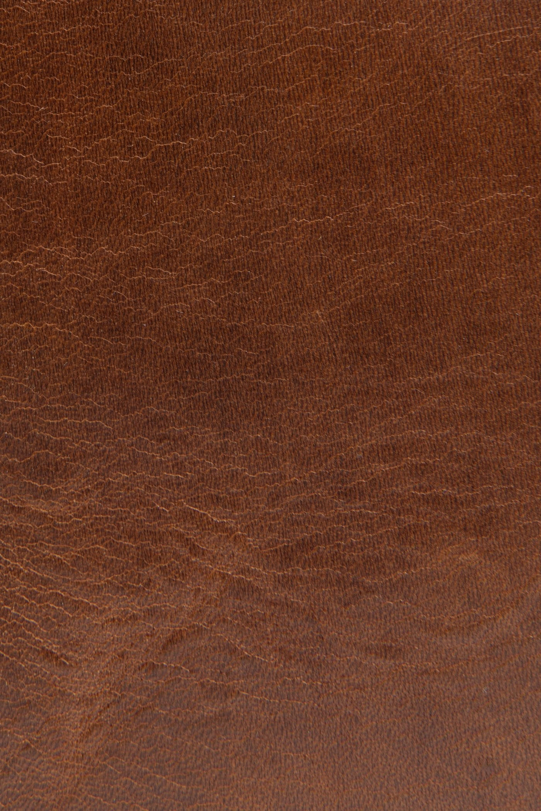 Frye Customer Favorite - Melissa Cognac Carryall