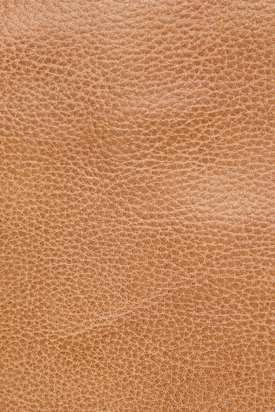 Frye Recommended - Nora Beige Knotted Tote