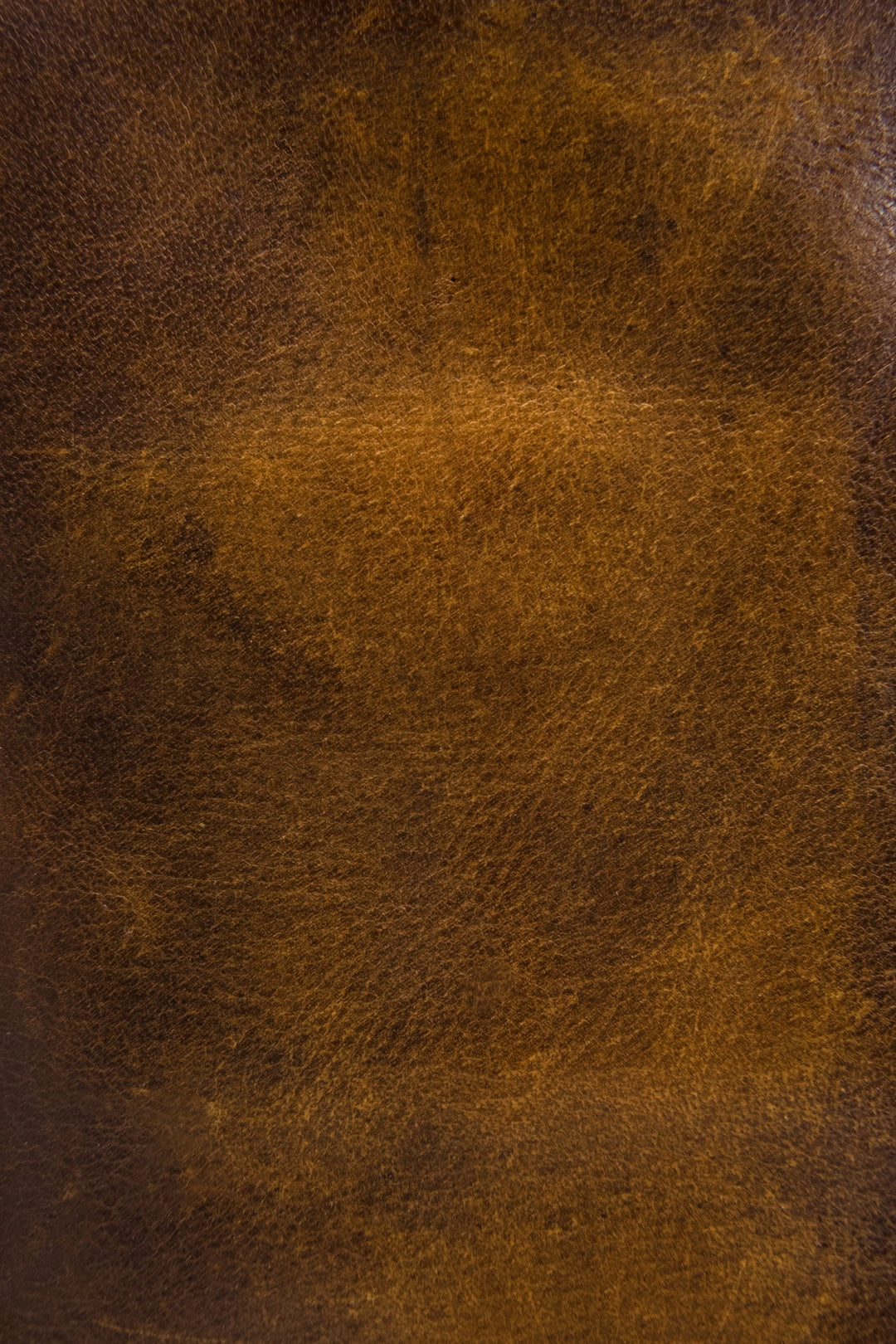 Frye Signature - Melissa Dark Brown Wristlet