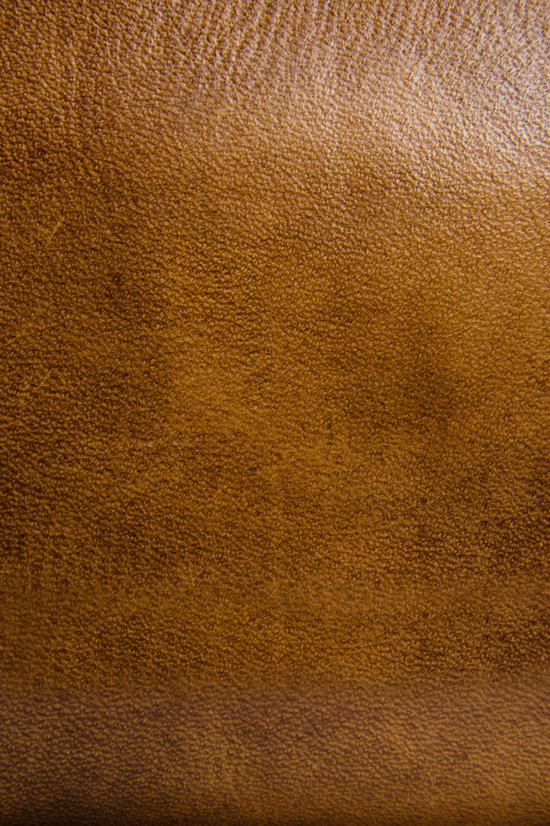 Frye Smart Buy - Melissa Beige Zip Wallet