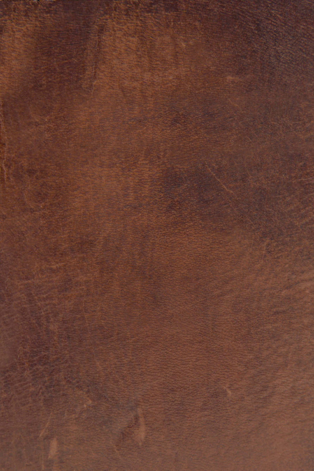 Frye Latest - Melissa Cognac Zip Wallet