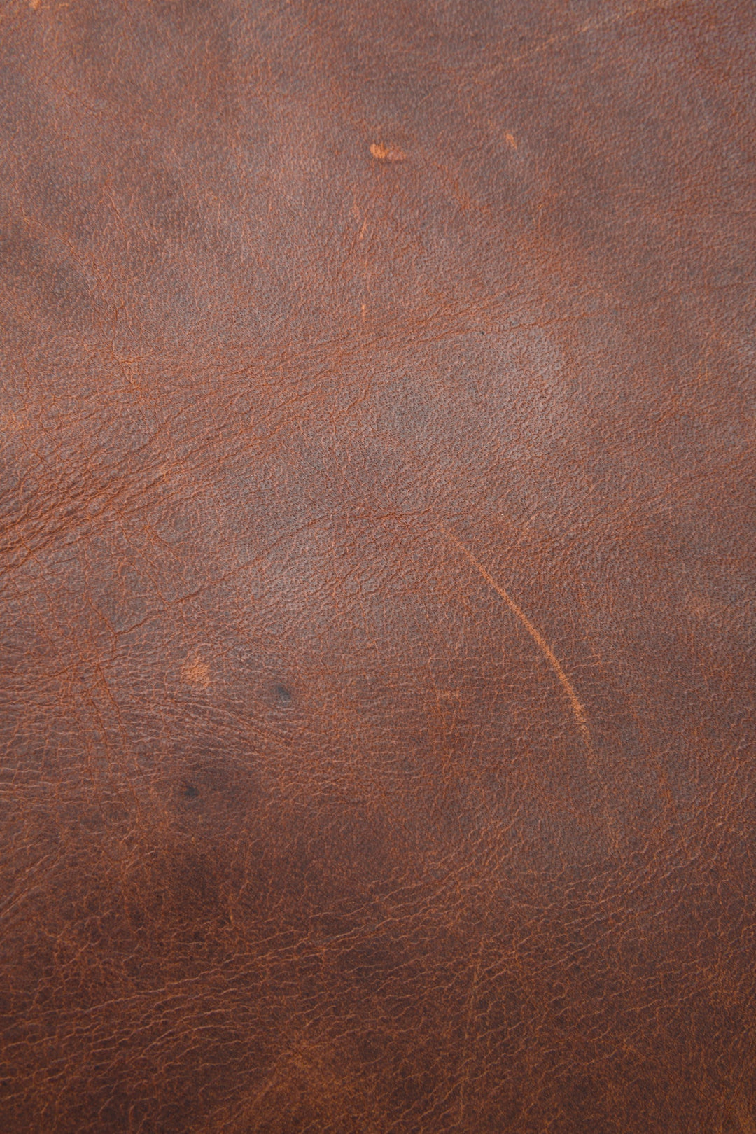 Frye Latest - Logan Cognac Backpack