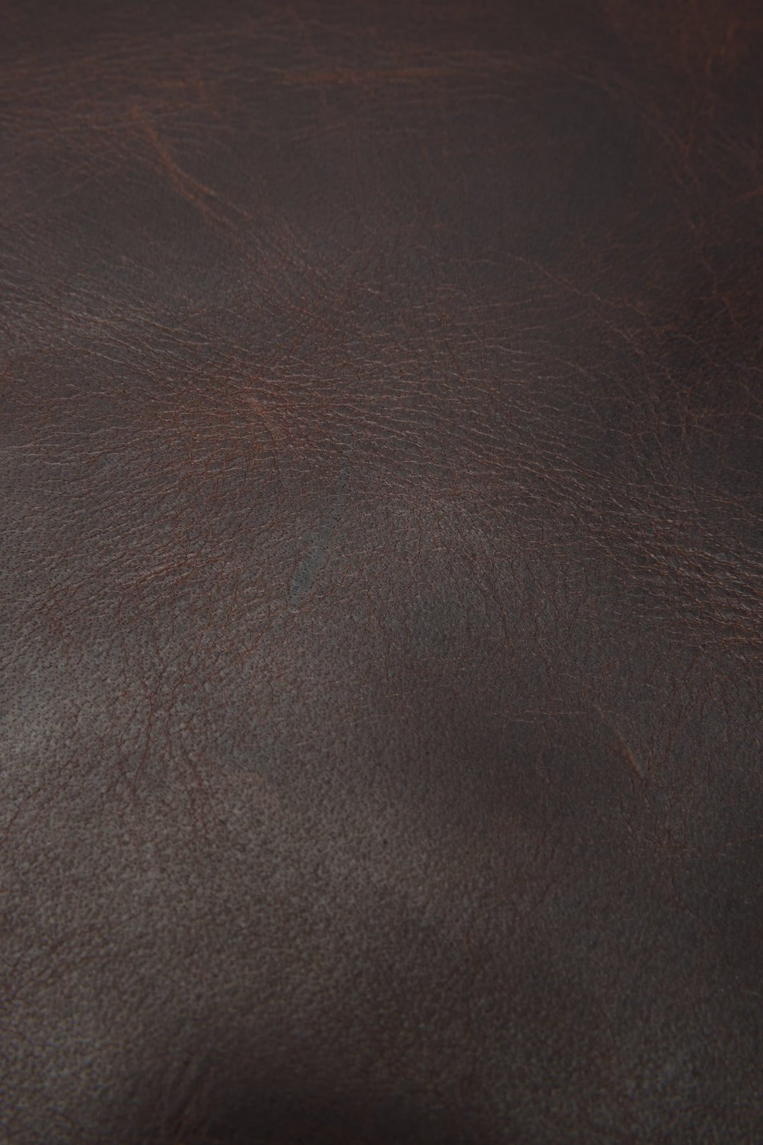Frye Smart Buy - Logan Dark Brown Backpack