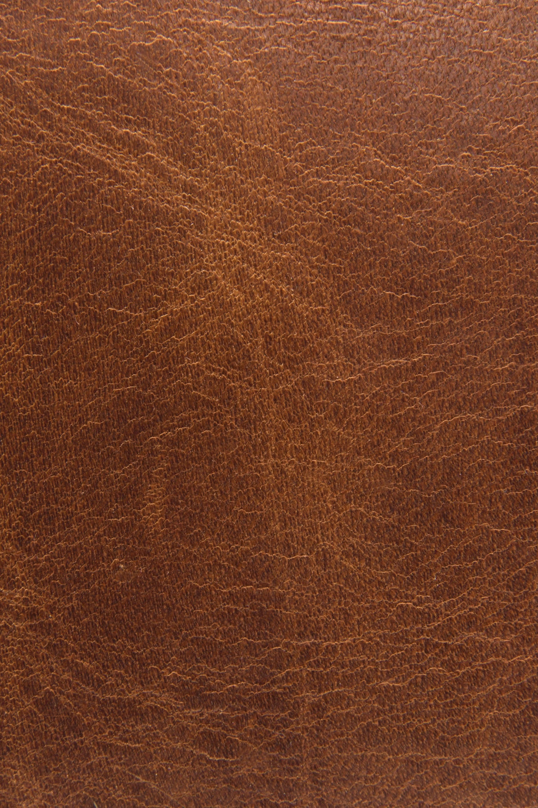 Frye Premium - Logan Cognac Top Handle