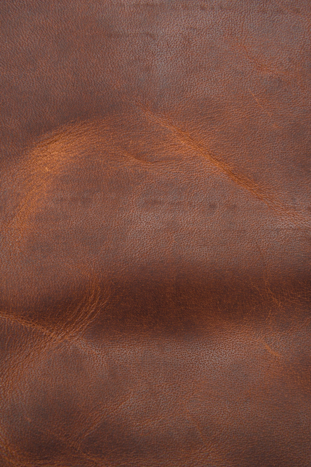 Frye Latest - Logan Messenger
