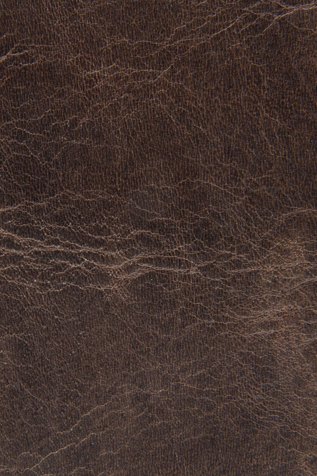 Frye Best Seller - Logan Slate Overnight