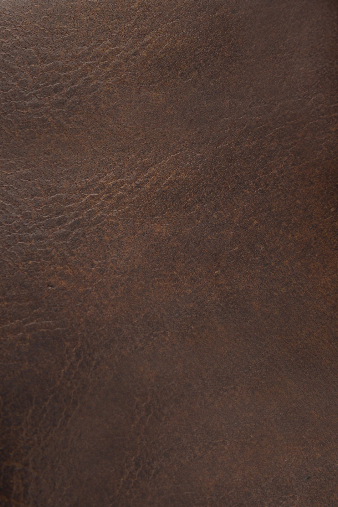Frye Trusted - Logan Dark Brown Billfold